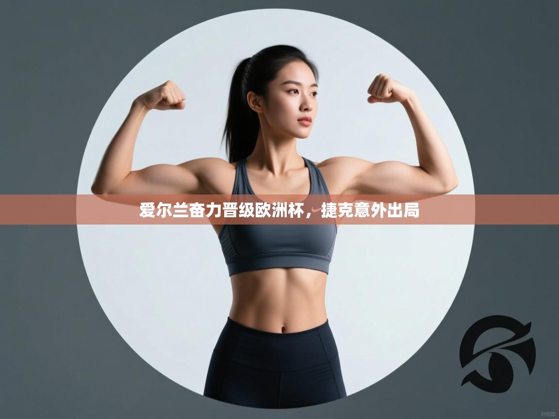 爱尔兰奋力晋级欧洲杯,捷克意外出局 第2张