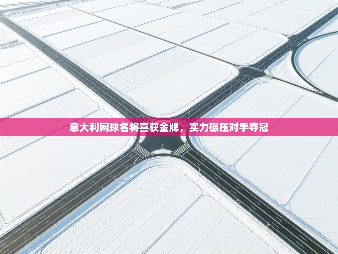 意大利网球名将喜获金牌，实力碾压对手夺冠  第2张