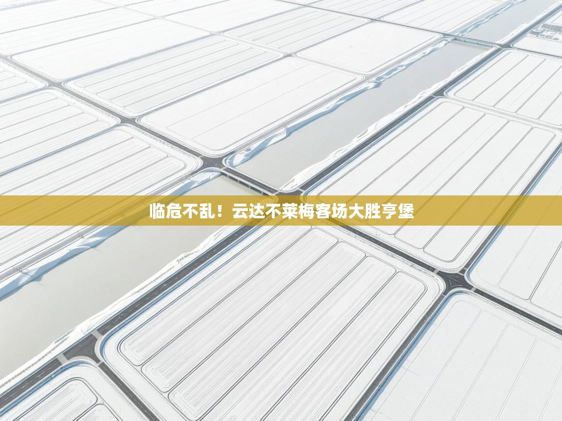 临危不乱！云达不莱梅客场大胜亨堡  第1张