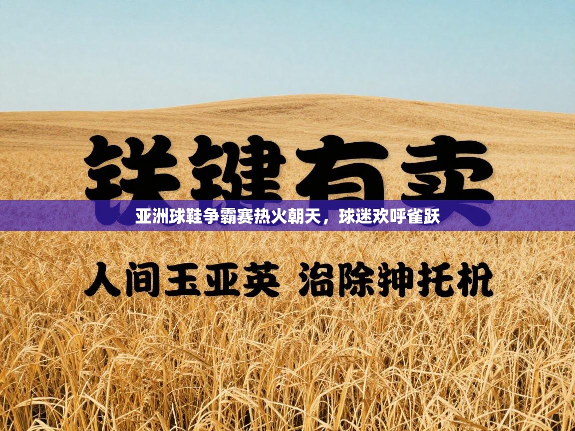 亚洲球鞋争霸赛热火朝天，球迷欢呼雀跃  第2张